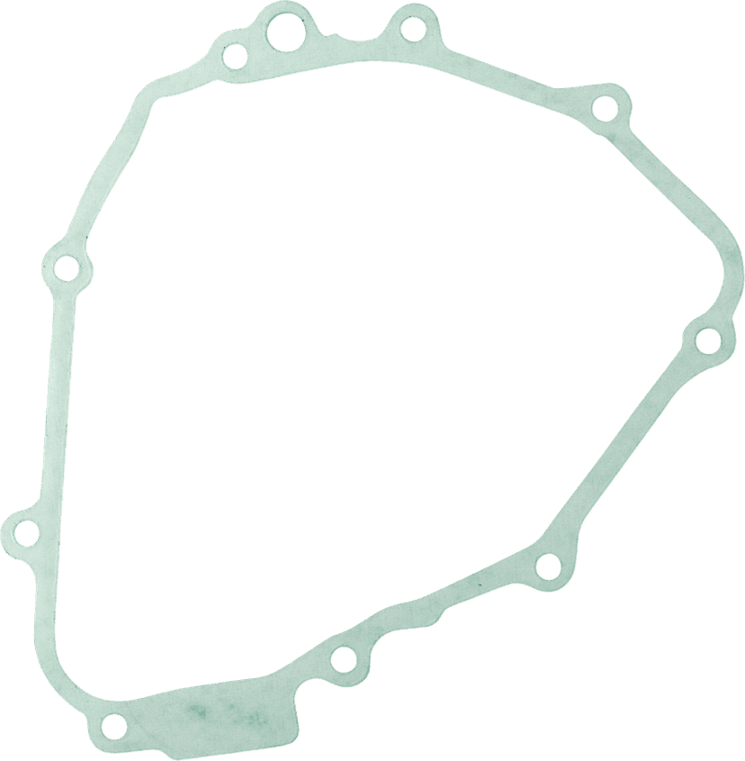 RICK'S MOTORSPORT ELECTRIC 0934-2591 Stator Gasket - Honda