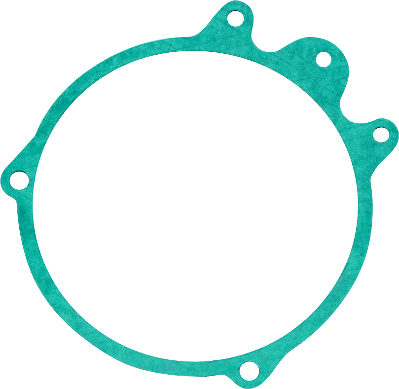 RICK'S MOTORSPORT ELECTRIC 0934-6406 Stator Gasket - Honda