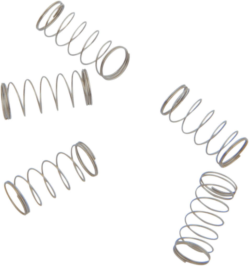 S&S CYCLE 1003-0050 Springs - Check Ball - 5 Pack