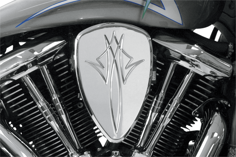 BARON 1010-0663 Big Air Kit - Pinstripe - Chrome — image 1 of 2