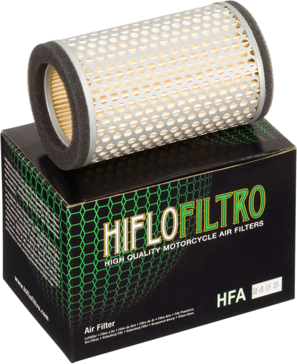 HIFLOFILTRO 1011-0360 Replacement OE Air Filter - Kawasaki