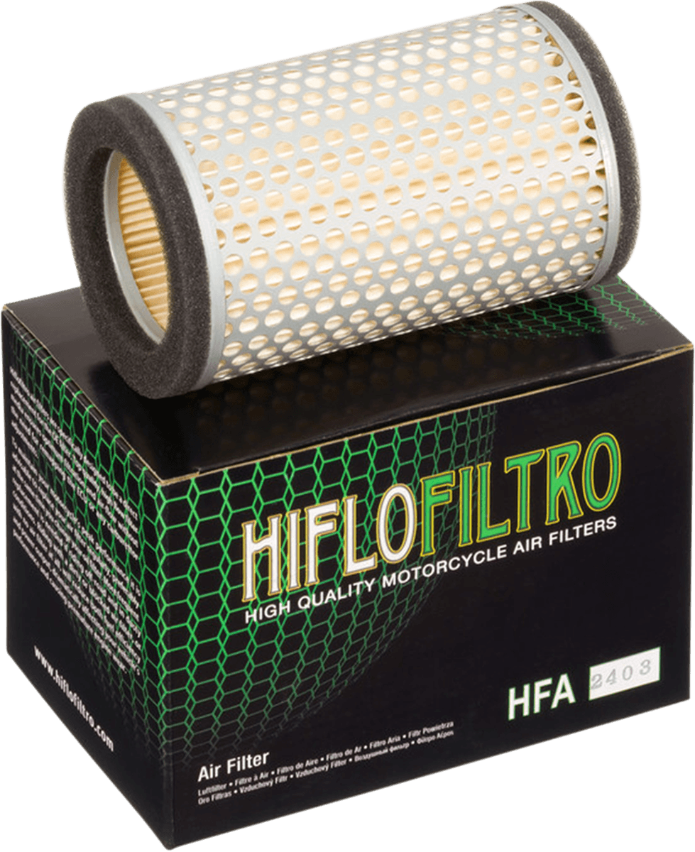 HIFLOFILTRO 1011-0360 Replacement OE Air Filter - Kawasaki