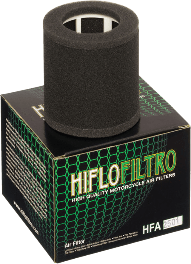 HIFLOFILTRO 1011-0361 Replacement OE Air Filter - Kawasaki