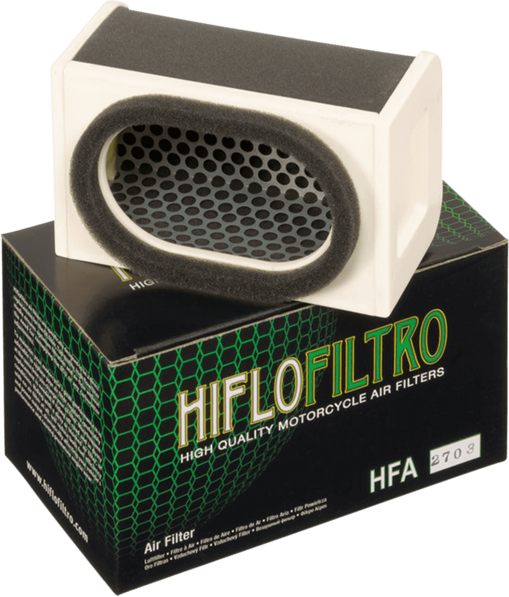 HIFLOFILTRO 1011-0365 Replacement OE Air Filter - Kawasaki