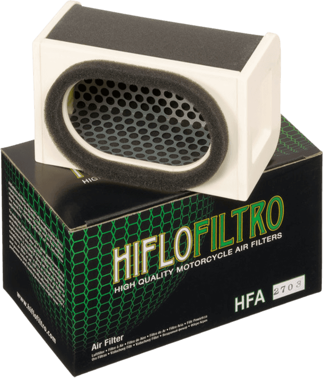 HIFLOFILTRO 1011-0365 Replacement OE Air Filter - Kawasaki