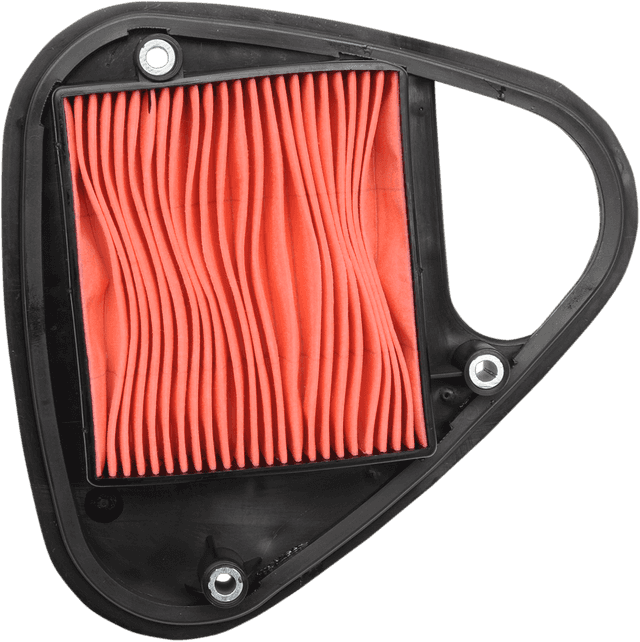 EMGO 1011-0466 Air Filter - Honda