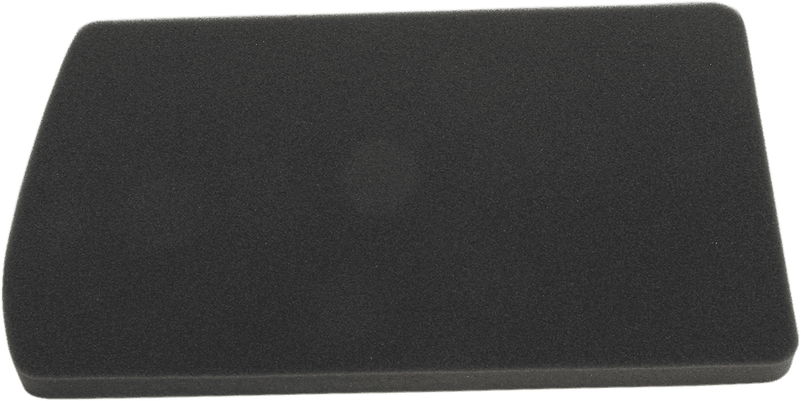 HIFLOFILTRO 1011-3613 Replacement Air Filter - BMW
