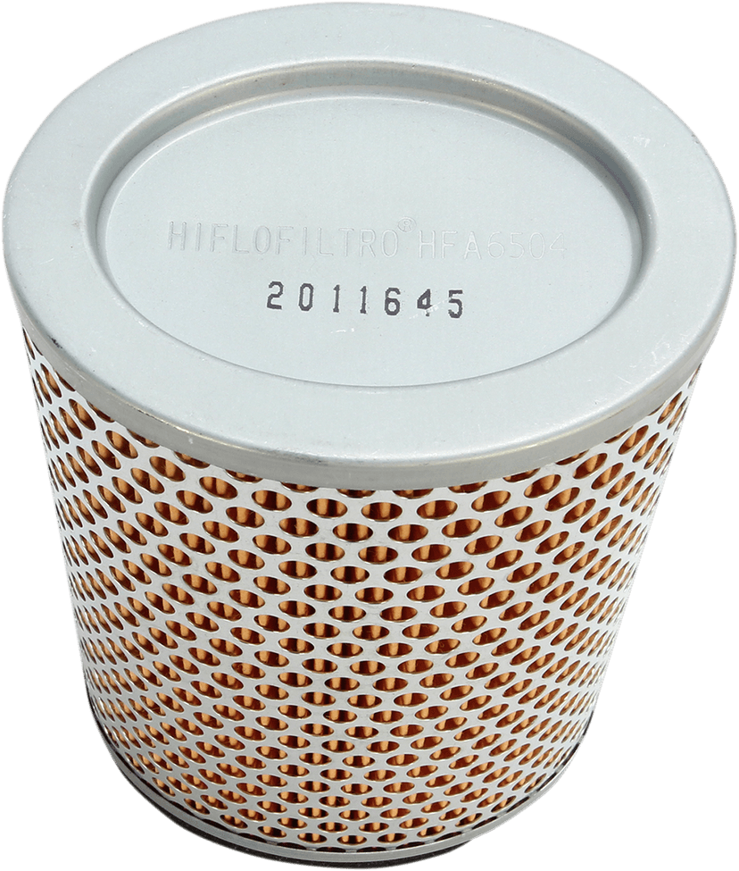 HIFLOFILTRO 1011-3848 Replacement Air Filter - Triumph — image 1 of 2