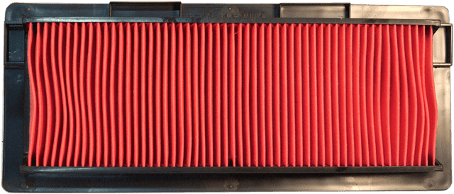 EMGO 1011-3899 Air Filter - Kawasaki