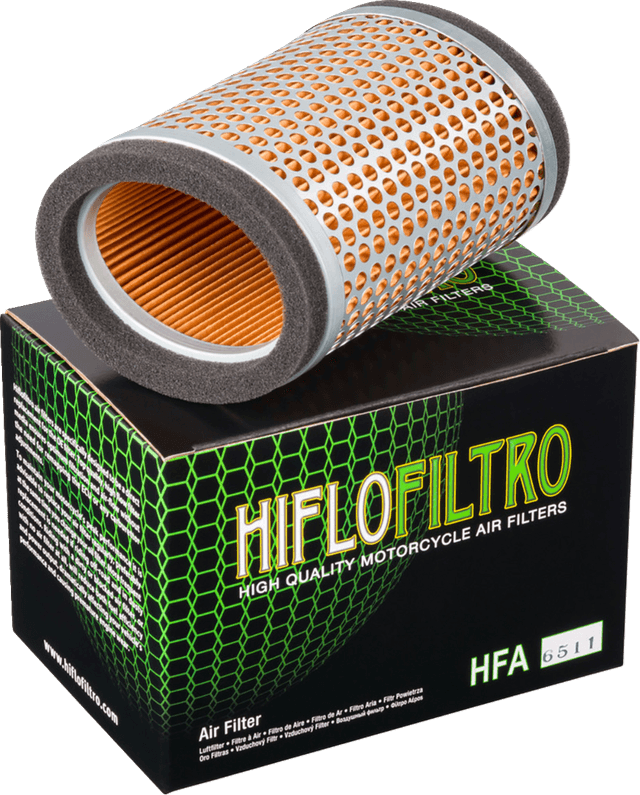 HIFLOFILTRO 1011-4859 OEM Replacement Air Filter - Triumph