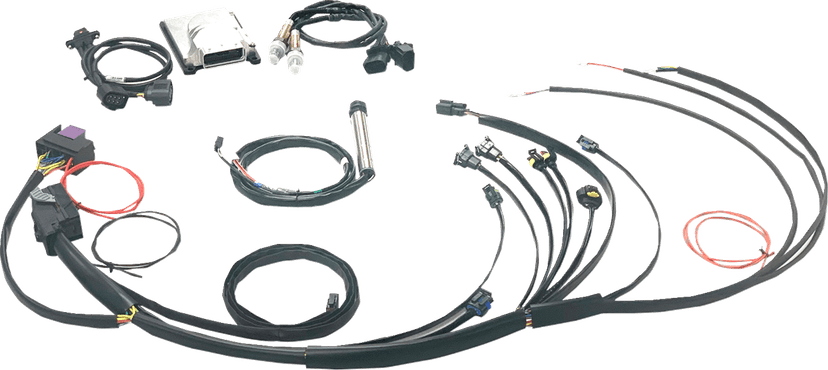 NAMZ 1020-4281 Complete Stand-Alone EFI Engine Management System - Twin Cam