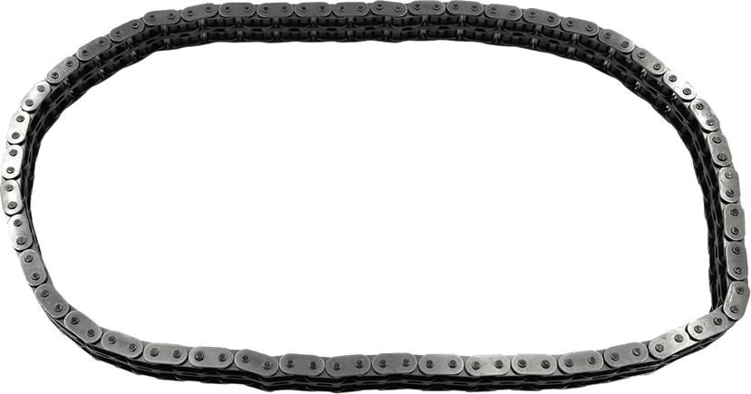 S&S CYCLE 1120-0470 Primary Chain - '80-'06 Touring/FXR — image 1 of 2