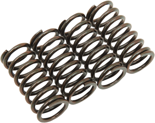 BARNETT 1131-0638 Clutch Spring Set - Honda/Suzuki