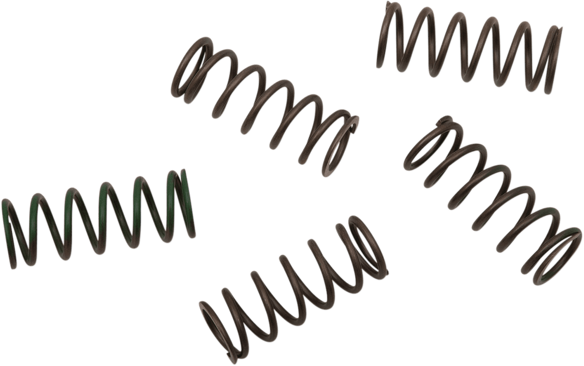 HINSON RACING 1131-1135 Hi-Temp Clutch Spring Kit - Honda/Husqvarna/KTM/Suzuki