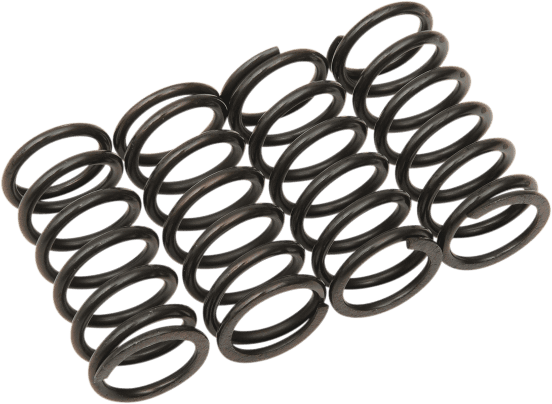 BARNETT 1131-1166 Clutch Spring Kit