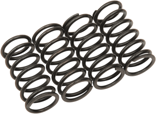 BARNETT 1131-1166 Clutch Spring Kit