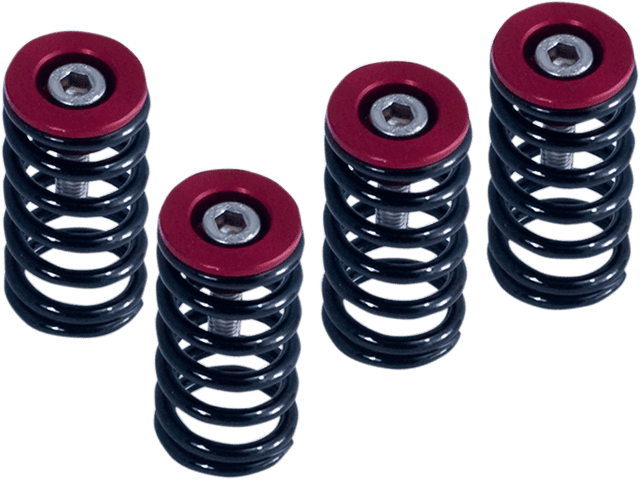 BARNETT 1131-1834 Clutch Springs
