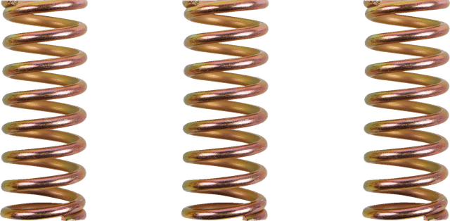 BARNETT 1131-2300 Clutch Spring Kit - Ducati/Triumph