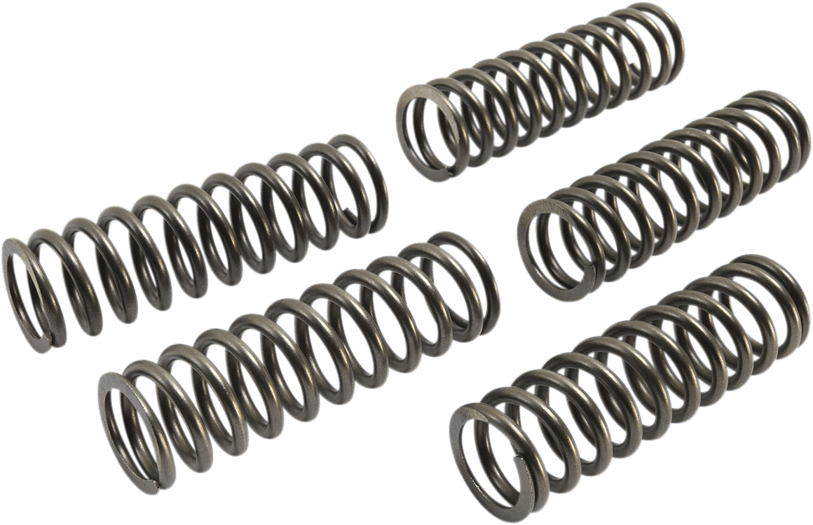 EBC 1131-3117 Clutch Springs