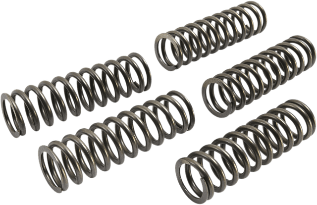 EBC 1131-3117 Clutch Springs