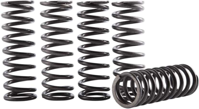 HINSON RACING 1131-3235 Clutch Spring Kit - CRF250R/RX