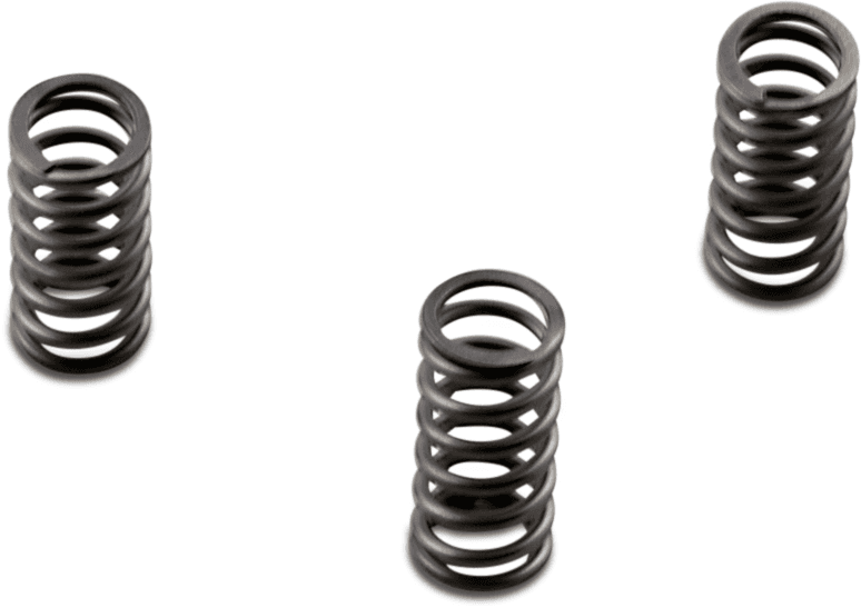 EBC 1131-3293 Clutch Springs - FLH/FLS/FLR