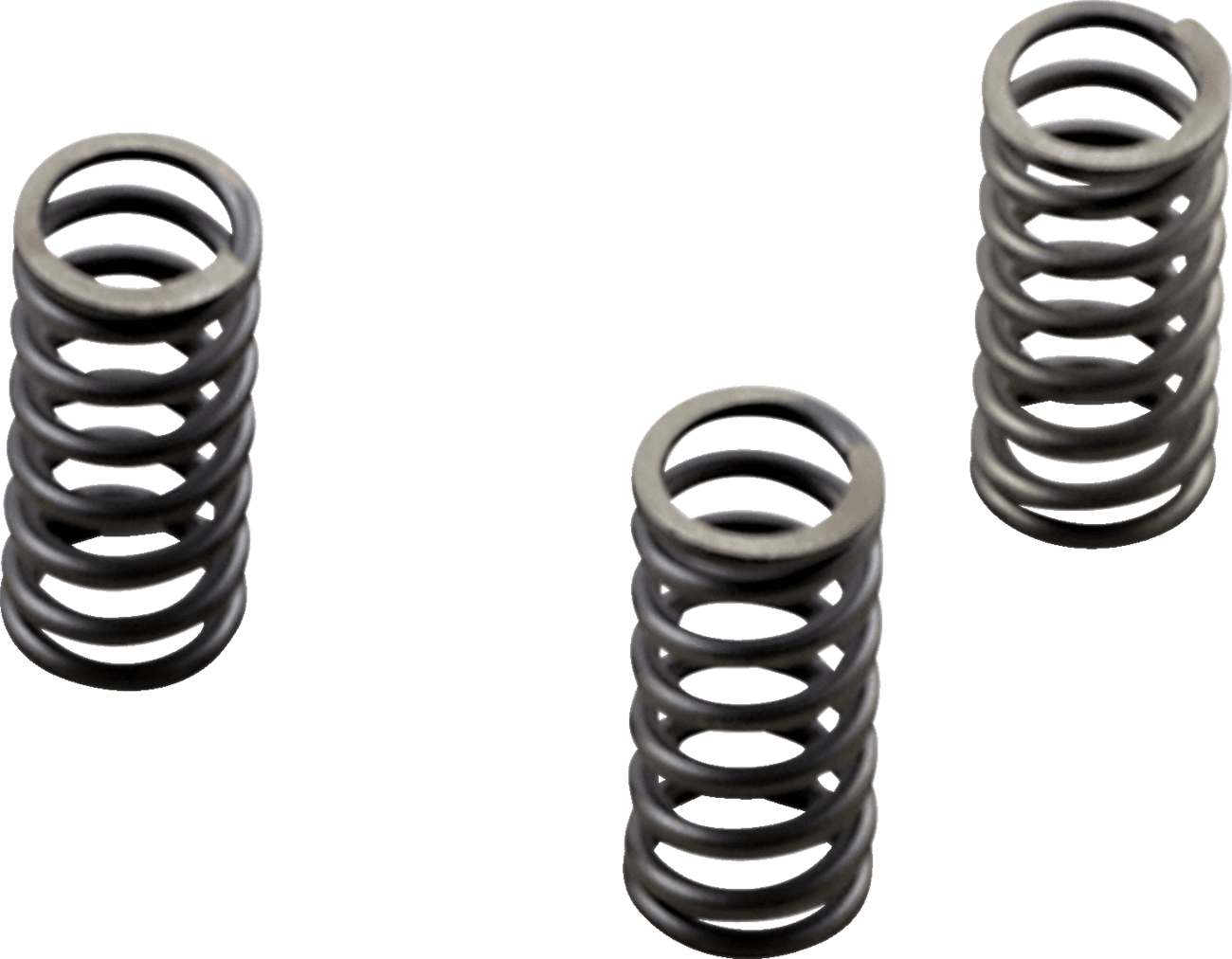 EBC 1131-3294 Clutch Springs - M8