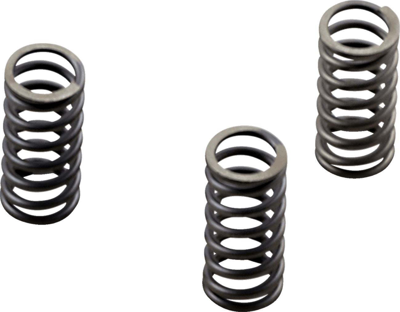 EBC 1131-3294 Clutch Springs - M8