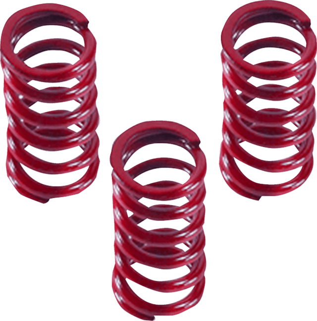 DRAG SPECIALTIES 1131-3616 Clutch Springs