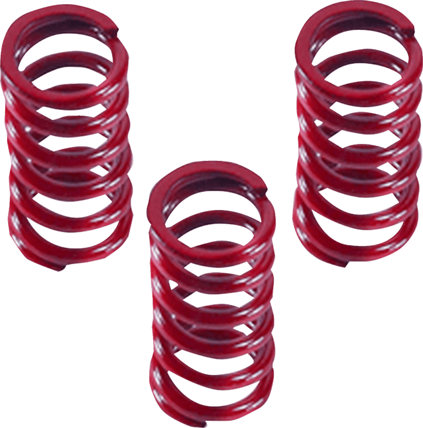 DRAG SPECIALTIES 1131-3616 Clutch Springs
