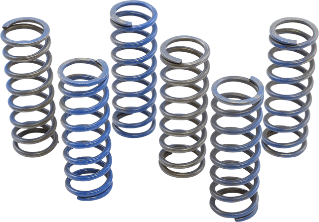 HINSON RACING 1131-3662 Hi-Temp Clutch Spring Kit - Honda