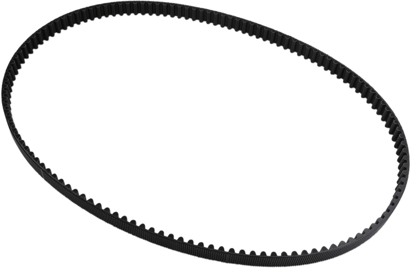 BELT DRIVES LTD. 1204-0123 Rear Drive Belt - 128 Tooth - 1-1/8"
