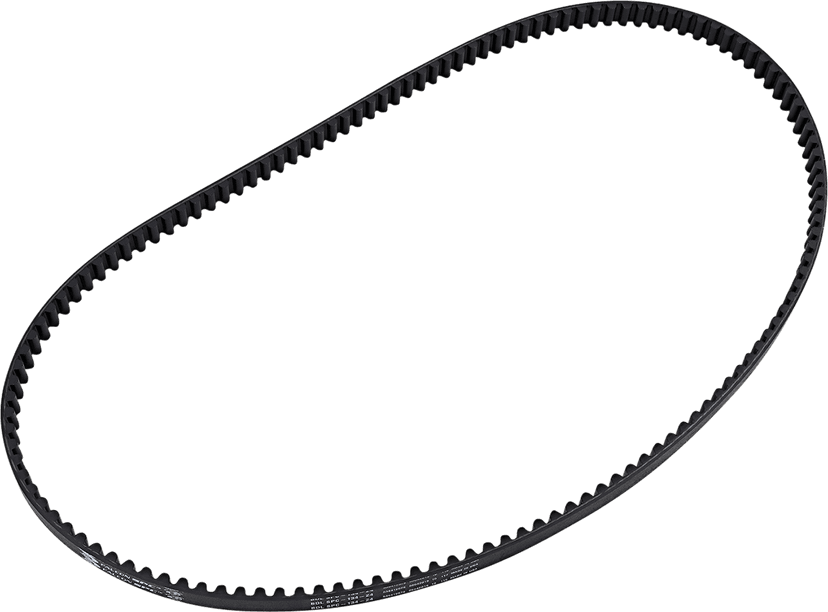 DRAG SPECIALTIES 1204-0234 Rear Belt Drive - 134 Tooth - 24 mm — image 1 of 2