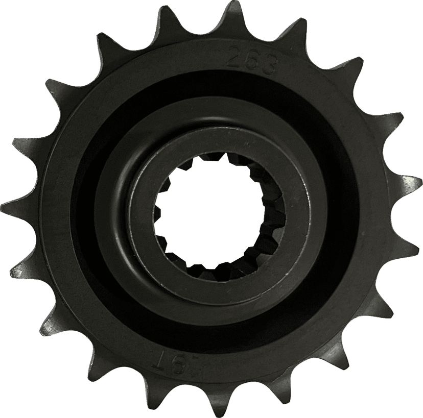 DRAG SPECIALTIES 1212-2054 Front Sprocket - 19 Tooth - Pan America