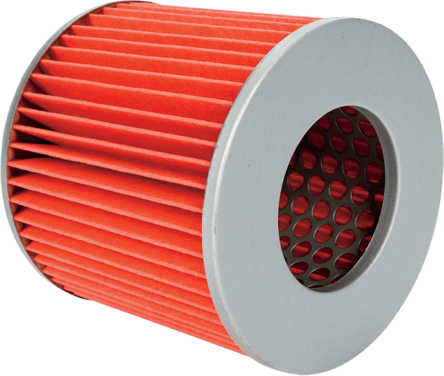 EMGO 12-43930 Air Filter - Honda