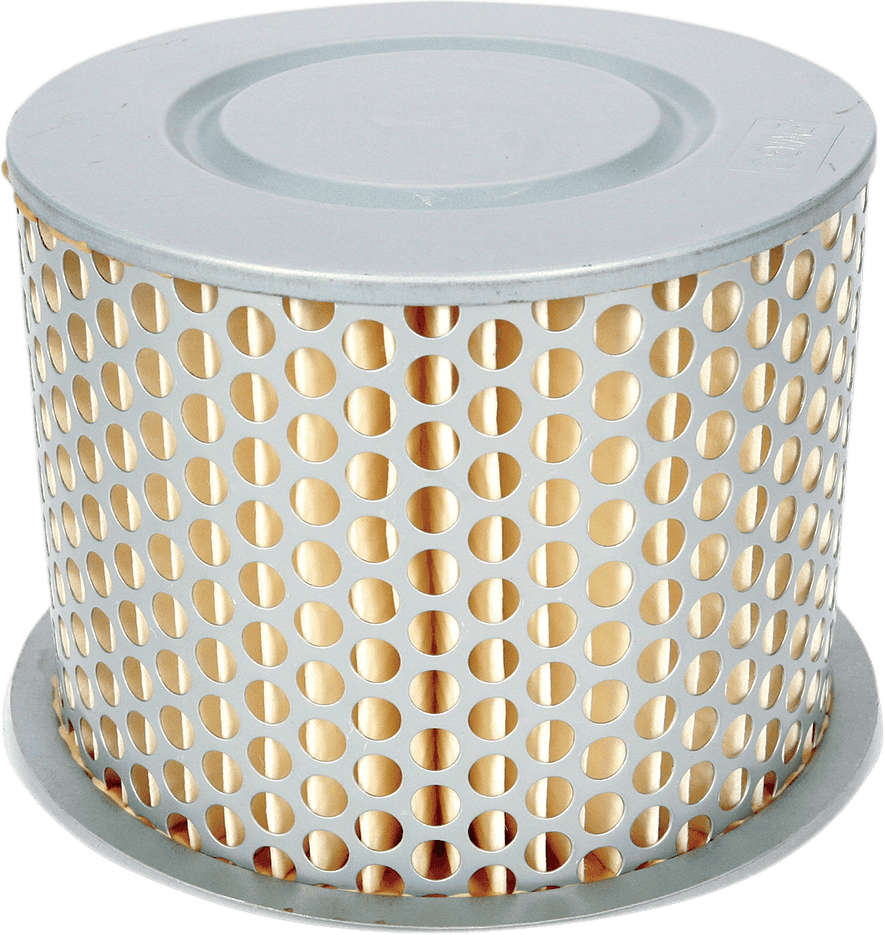 EMGO 12-90700 Air Filter - Honda