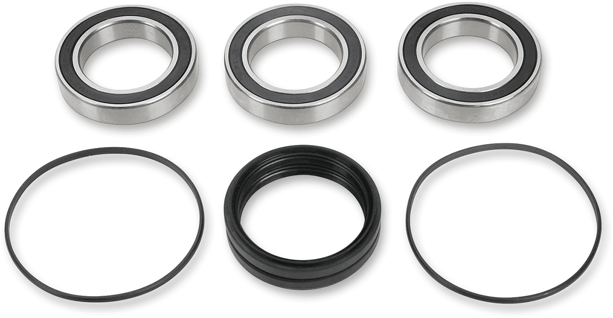 PIVOT WORKS 1302-0060 Wheel Bearing Kit - Rear - '04-'14 TRX 450