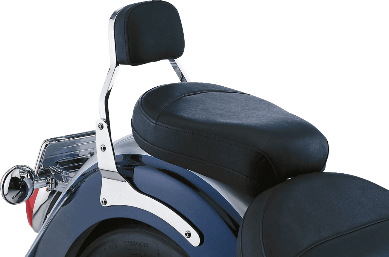 COBRA 1501-0001 Sissy Bar - Mini - 750 Aero