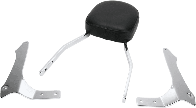 COBRA 1501-0070 Sissy Bar - Standard - 1900 Roadliner — image 1 of 3