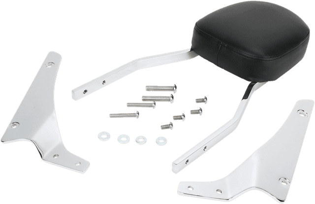COBRA 1501-0138 Sissy Bar - Standard - VTX1300R/S