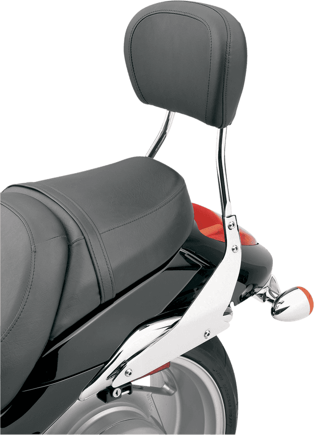 COBRA 1501-0225 Sissy Bar - Short - Chrome - Roadliner — image 3 of 3