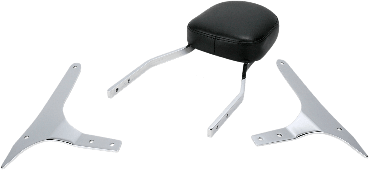 COBRA 1501-0258 Sissy Bar - Standard - XVS 950 V-Star