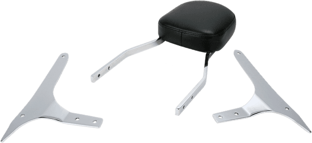 COBRA 1501-0258 Sissy Bar - Standard - XVS 950 V-Star — image 1 of 2
