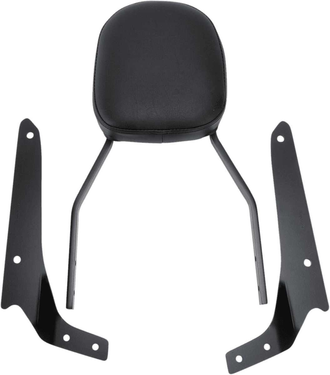 COBRA 1501-0345 Sissy Bar - Standard - Shadow Phantom