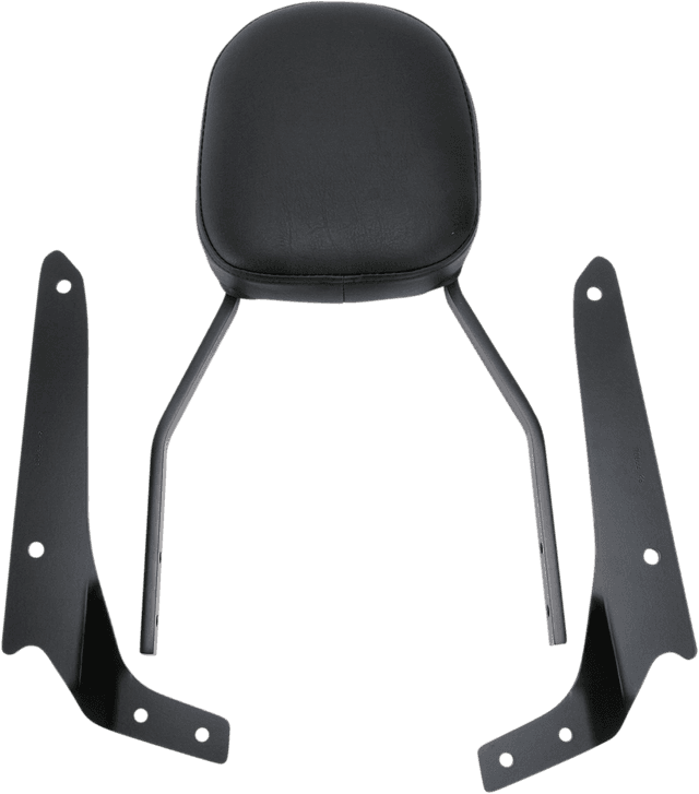 COBRA 1501-0345 Sissy Bar - Standard - Shadow Phantom — image 1 of 2
