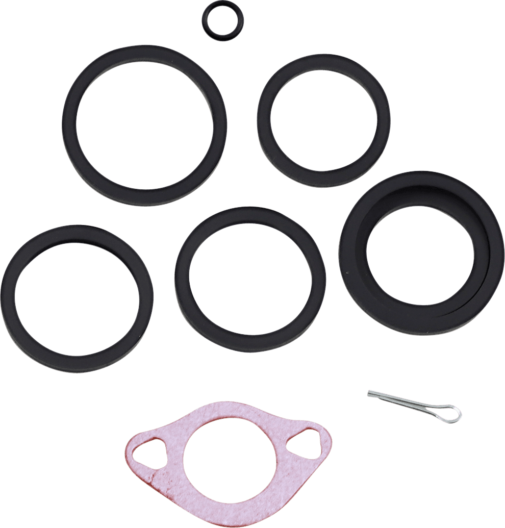ARLEN NESS 1702-0499 6 Piston Caliper Rebuild Kit