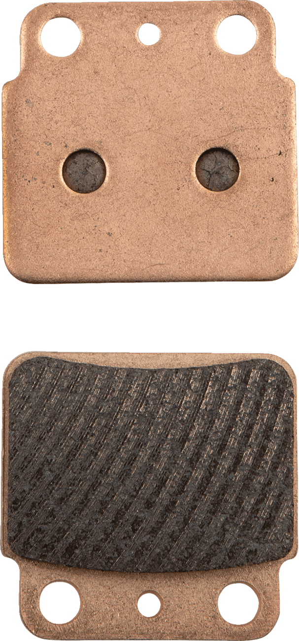 ALL BALLS 1721-3094 Sintered Brake Pads - Rear Right