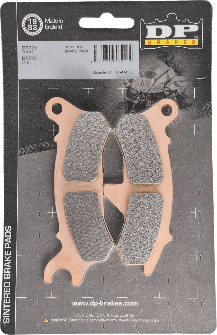 DP BRAKES 1721-3650 Sintered Brake Pads - Kawasaki Ridge Ranch - Front Right
