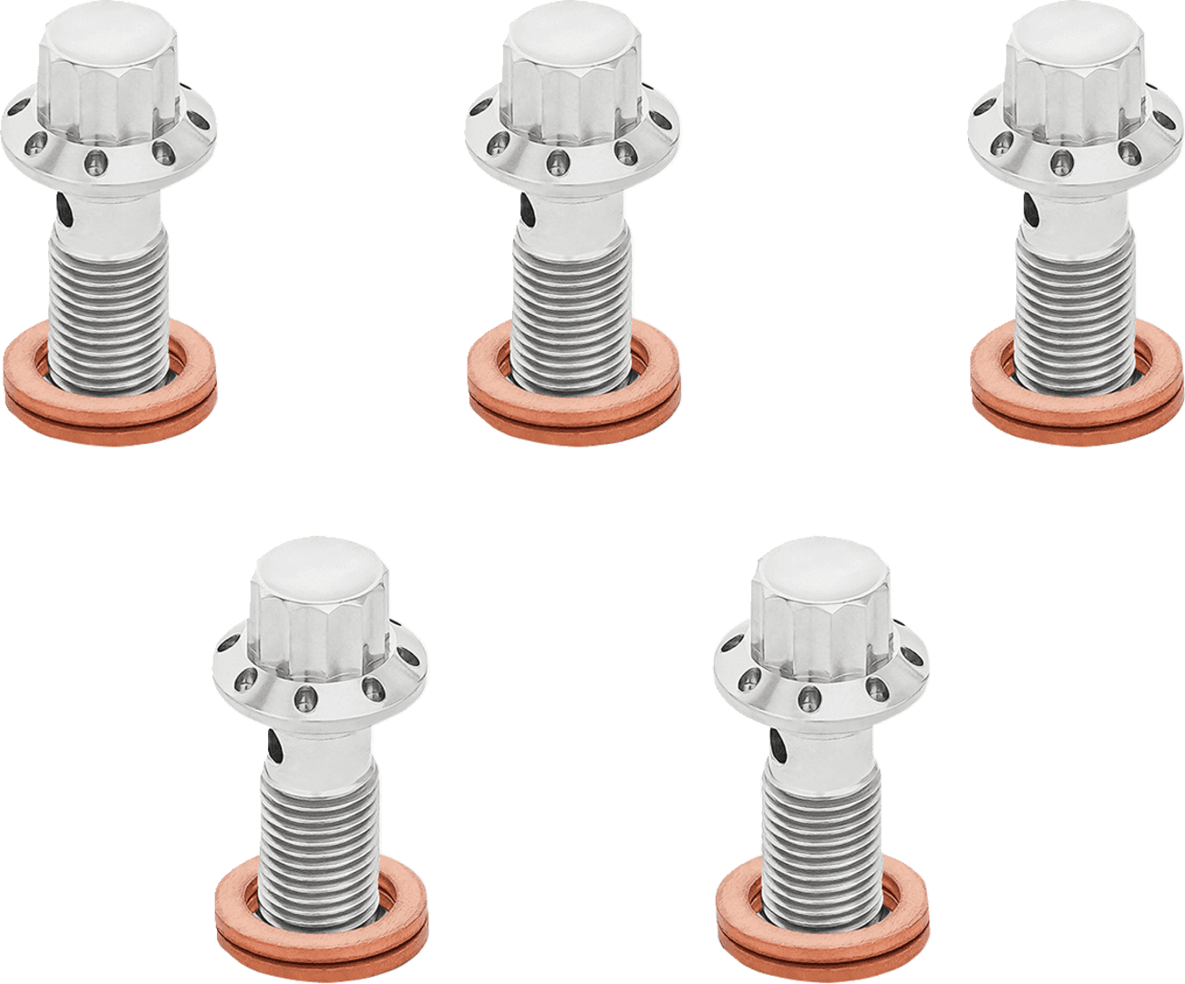 ARLEN NESS 1742-0791 Banjo Bolt 5-Pack - M10x1.0 - Polished