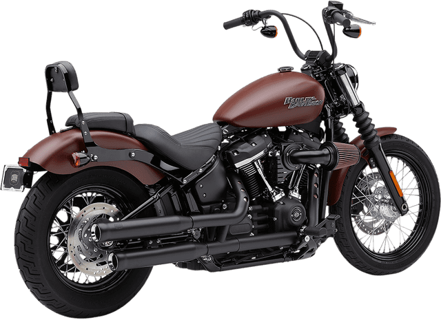 COBRA 1801-1243 Neighbor Hater Slip-On Mufflers - Raven Black - Softail — image 1 of 3